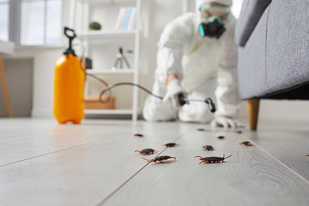 Commercial Kitchen Cockroach Control in Lake Ronkonkoma